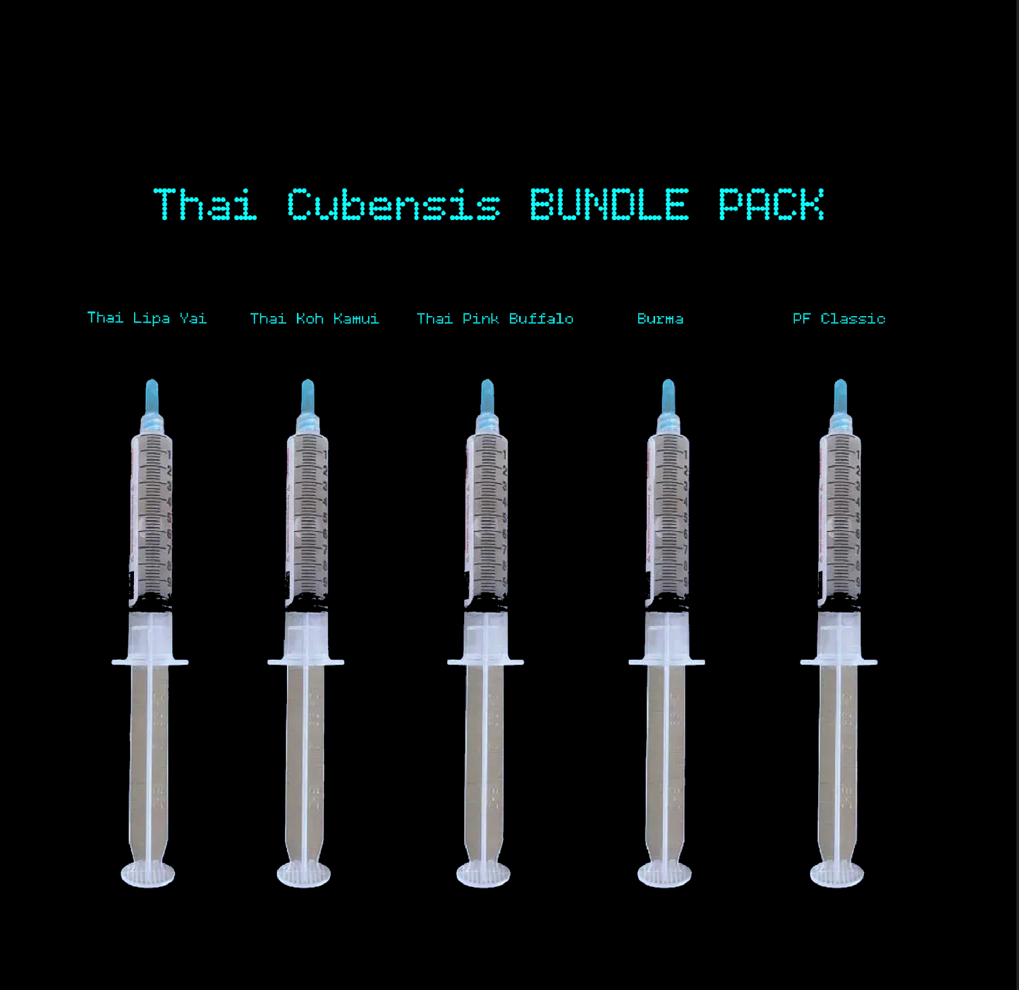 Thai Cubensis Spores Pack