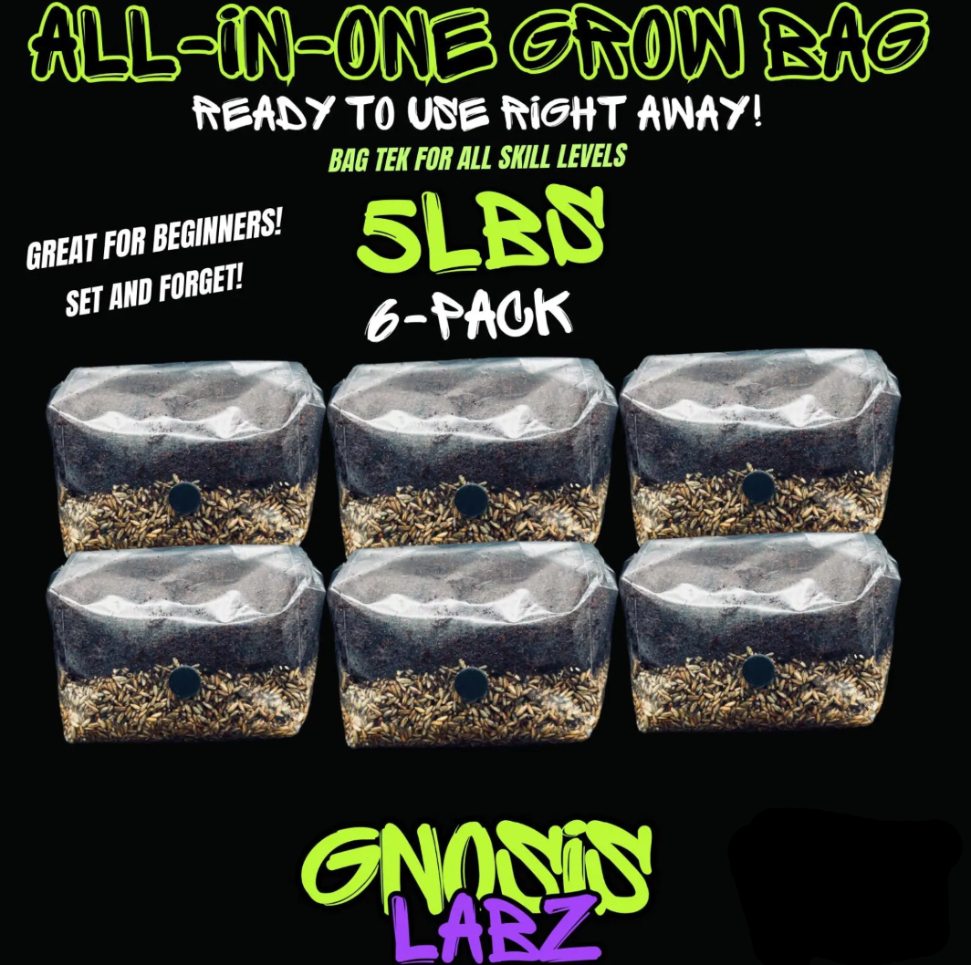 6 Pack of 5lbs All in One Mushroom Grow Kit Bags with Injection Port and Filter Patch! Great for Most Cultures!