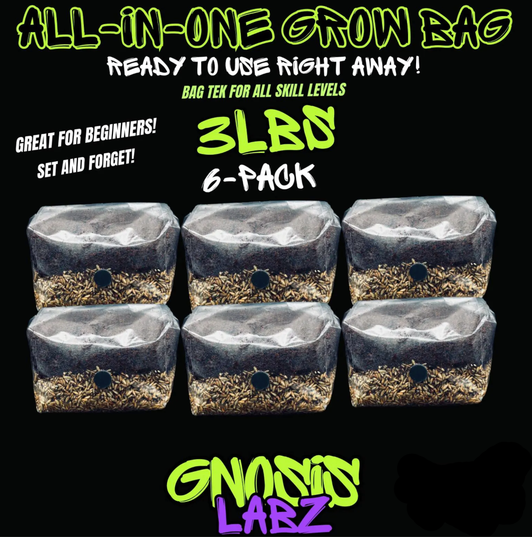 6 Pack of All in One Mushroom Grow Kit Bags (3lbs) with Injection Port and Filter Patch!