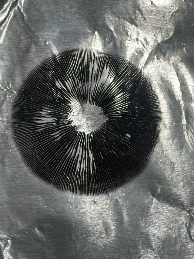 Research Spore Prints