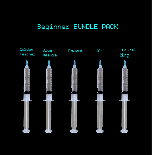 Beginner BUNDLE PACK