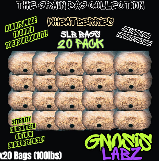 20 Pack of 5lb Sterilized Grain Bags for Mycology and Mushroom Cultivation (Wheat Berries) - with Injection Port and Filter Patch!