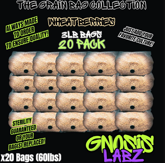 20 Pack of 3lb Sterilized Grain Bags for Mycology and Mushroom Cultivation (Wheat Berries) - with Injection Port and Filter Patch!