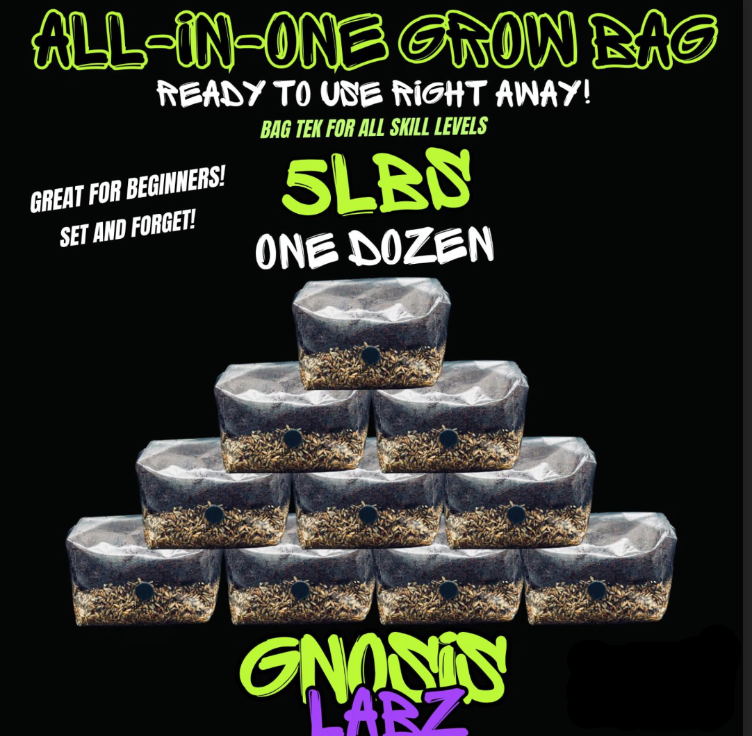 One Dozen All in One Mushroom Grow Kit Bags (5lbs) with Injection Port and Filter Patch!