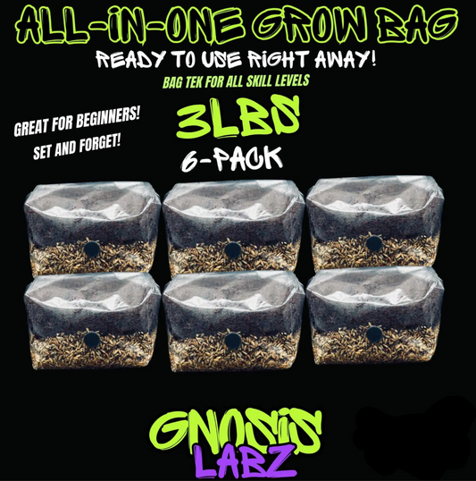 6 Pack of All in One Mushroom Grow Kit Bags (3lbs) with Injection Port and Filter Patch!