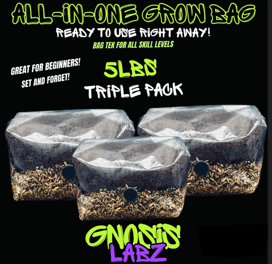 5lbs All in One Mushroom Grow Kit Bag! 3 Pack Bundle with Injection Port and Filter Patch! Great for Most Cultures!