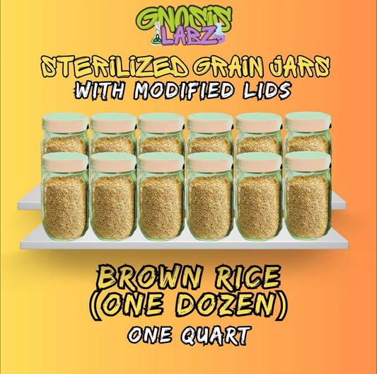 Sterilized Brown Rice Quart Jars (One Dozen) Includes Modified Lid with Injection Port and Filter Patch!