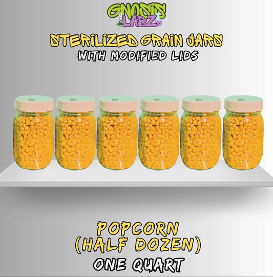 Sterilized Popcorn Quart Jars (Half Dozen) Includes Modified Lid with Injection Port and Filter Patch!