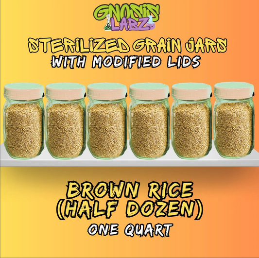 Sterilized Brown Rice Quart Jars (Half Dozen) Includes Modified Lid with Injection Port and Filter Patch!