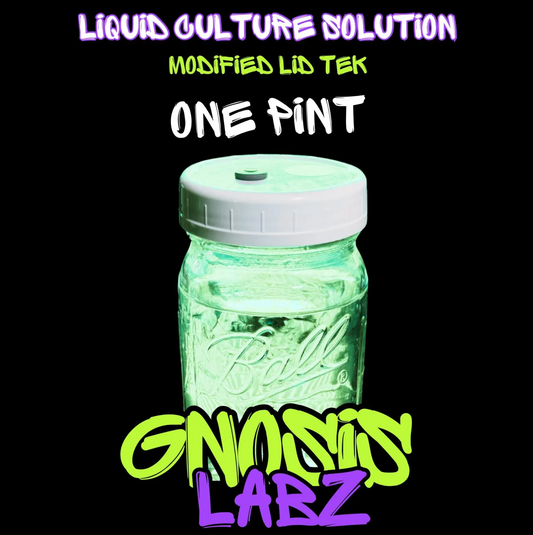 Sterilized Liquid Culture Solution One Pint Jar  -Modified lid with Injection Port and Filter Patch! Ready to Inoculate right away!