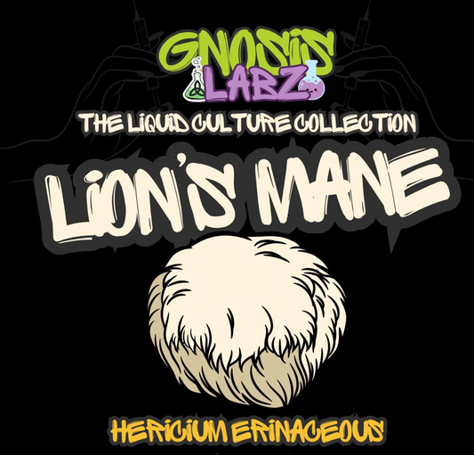 Lion's Mane (Hericium Erinaceus) Liquid Culture Syringe (10ml) + 18g Sterile Needle