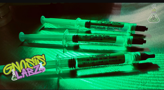 Reishi (Ganoderma Lucidum) Liquid Culture Syringe (10ml) Includes 18g Sterile Needle
