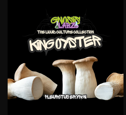 King Oyster (Pleurotus Eryngii ) Liquid Culture Syringe (10ml) Includes 18g Sterile Needle!
