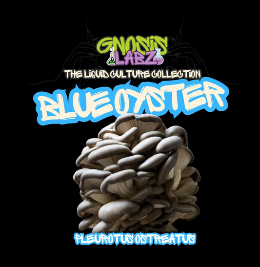 Blue Oyster (Pleurotus Ostreatus ) Liquid Culture Syringe (10ml) Includes 18g Sterile Needle!